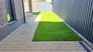 фон объявления 16