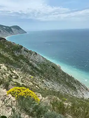 фон объявления 18