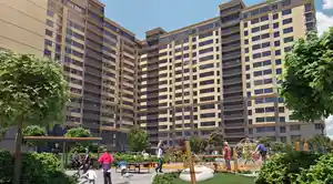 фон объявления 31