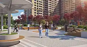 фон объявления 33