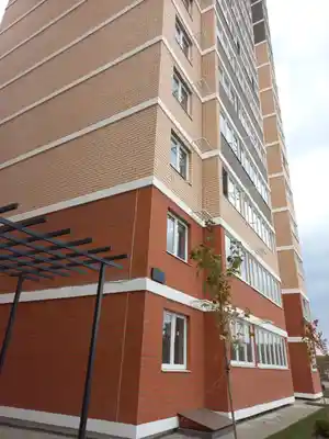 фон объявления 48