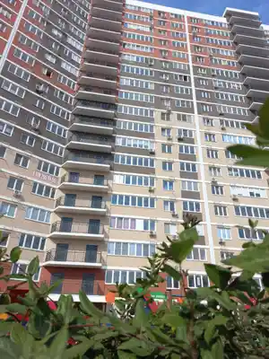 фон объявления 51