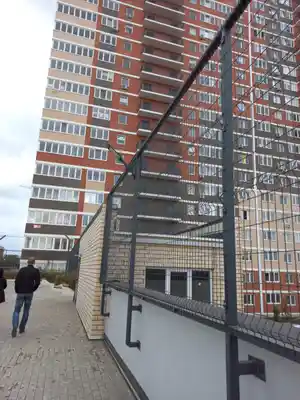 фон объявления 55