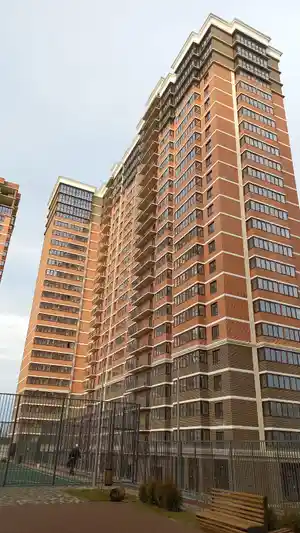 фон объявления 59