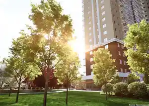 фон объявления 74