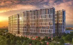 фон объявления 77