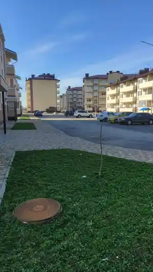 фон объявления 109