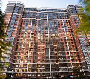 фон объявления 117