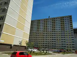 фон объявления 126