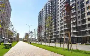 фон объявления 129