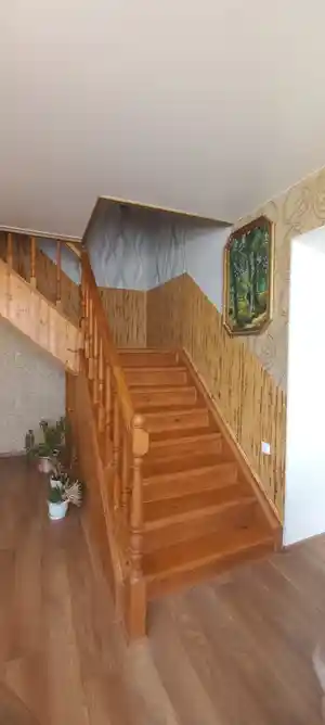 фон объявления 135