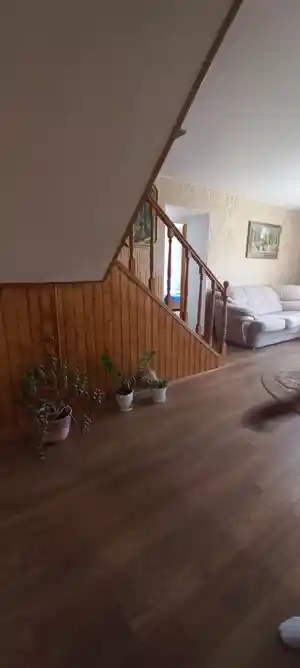 фон объявления 135