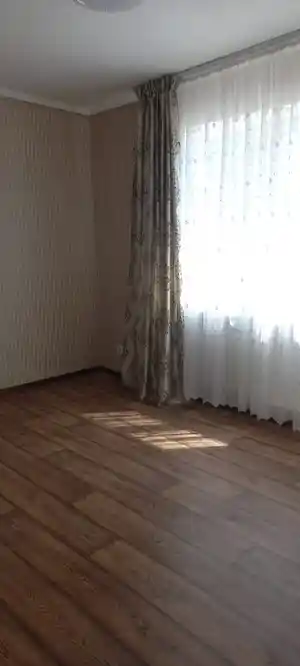 фон объявления 135