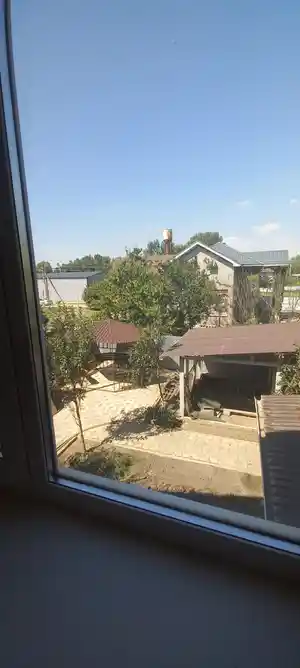 фон объявления 135