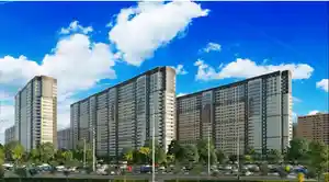 фон объявления 144