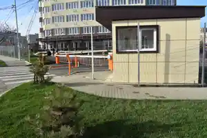 фон объявления 146