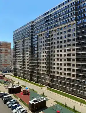 фон объявления 149