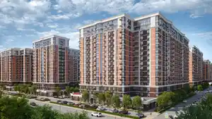 фон объявления 155