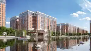 фон объявления 155