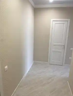 фон объявления 158