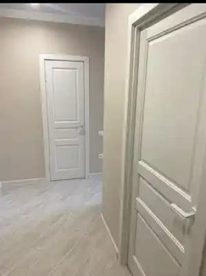 фон объявления 158