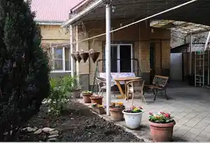 фон объявления 191