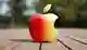 Падение акций Apple: почему рост тарифов ударил по котировкам