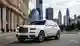 Распродажа активов Гасанова: элитное жильё и Rolls-Royce уходят с молотка