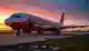 Шокирующая версия крушения Air India: птицы атаковали