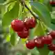 Секрет здоровых отношений с едой: топ-5 летних суперпродуктов