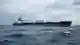 Разлив мазута и гибель моряка: итоги расследования «Волгонефть-212»
