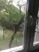 фон объявления 2347089