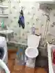 фон объявления 2367308